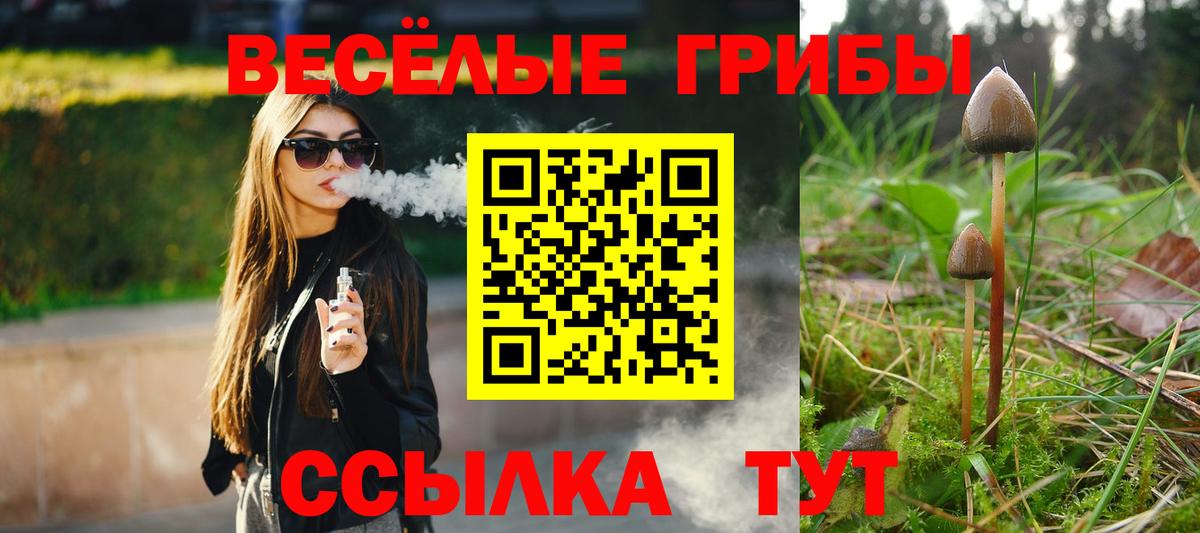 Псилоцибиновые грибы MAGIC MUSHROOMS Кинель