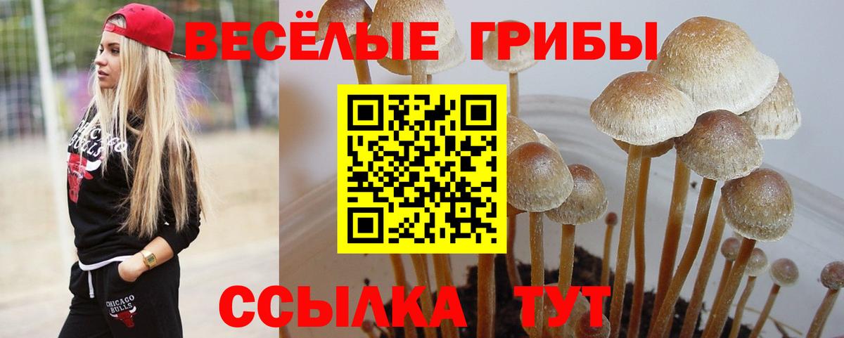 Псилоцибиновые грибы Magic Shrooms  Вход с VPN  Галлюциногенные грибы Cubensis  Кинель 
